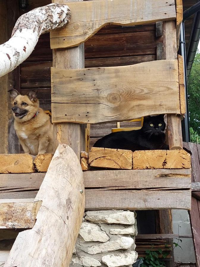 Agroturystyka Lipowewzgorze Domek Antek Tereszpol Kültér fotó